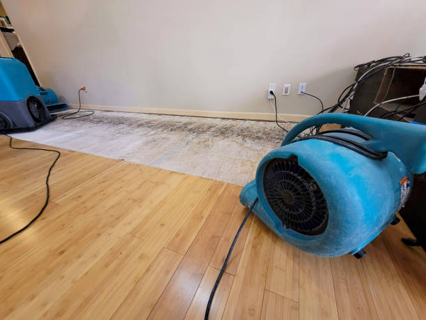 Professional Sewage Cleanup technician working in Neptune Beach, FL
